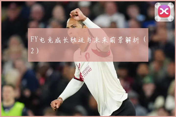 FY电竞成长轨迹与未来前景解析（2）