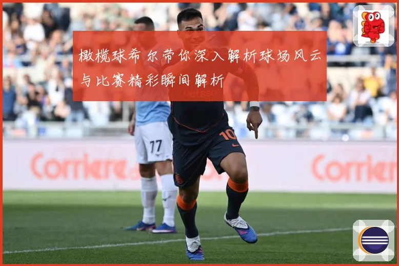 橄榄球希尔带你深入解析球场风云与比赛精彩瞬间解析