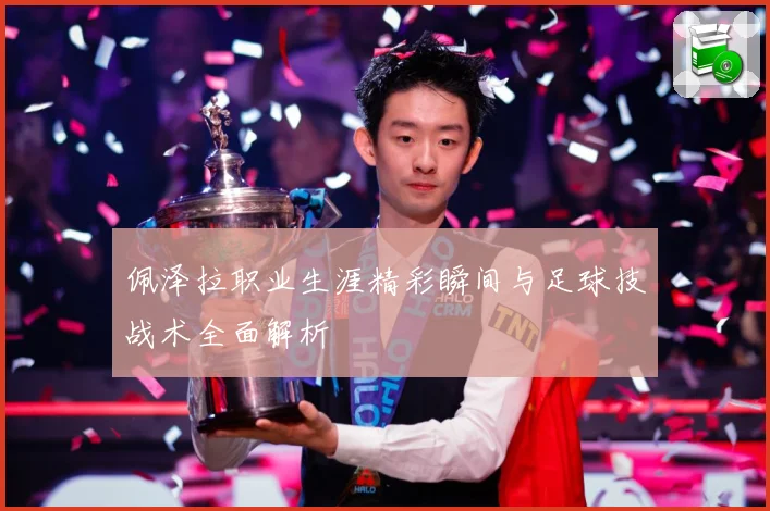 佩泽拉职业生涯精彩瞬间与足球技战术全面解析